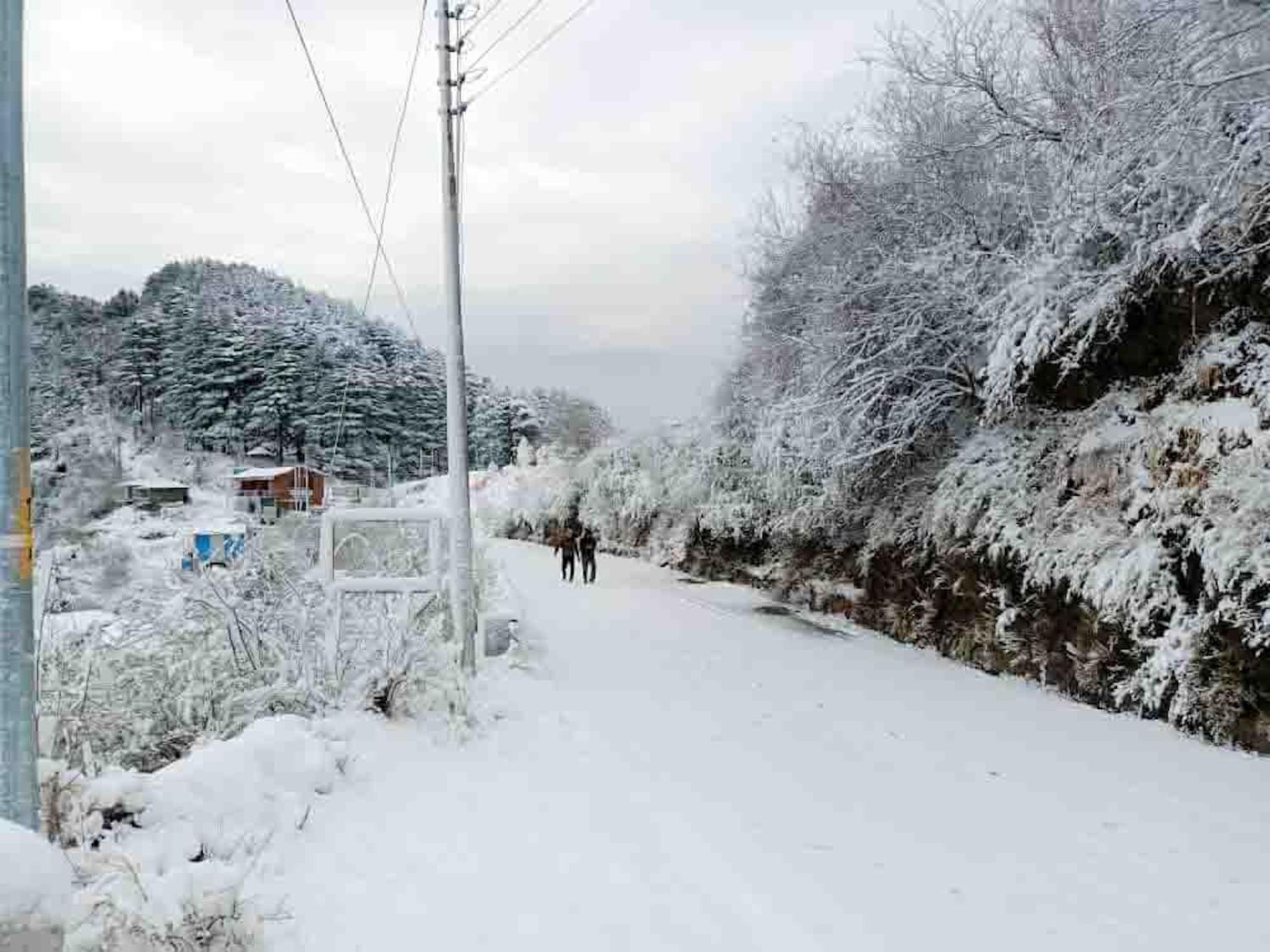 La Riqueza Kanatal #Mountain View Rooms # Near To Kodia Forest Jungle Saafari # 05 Mins From Adventure Activities Eksteriør bilde